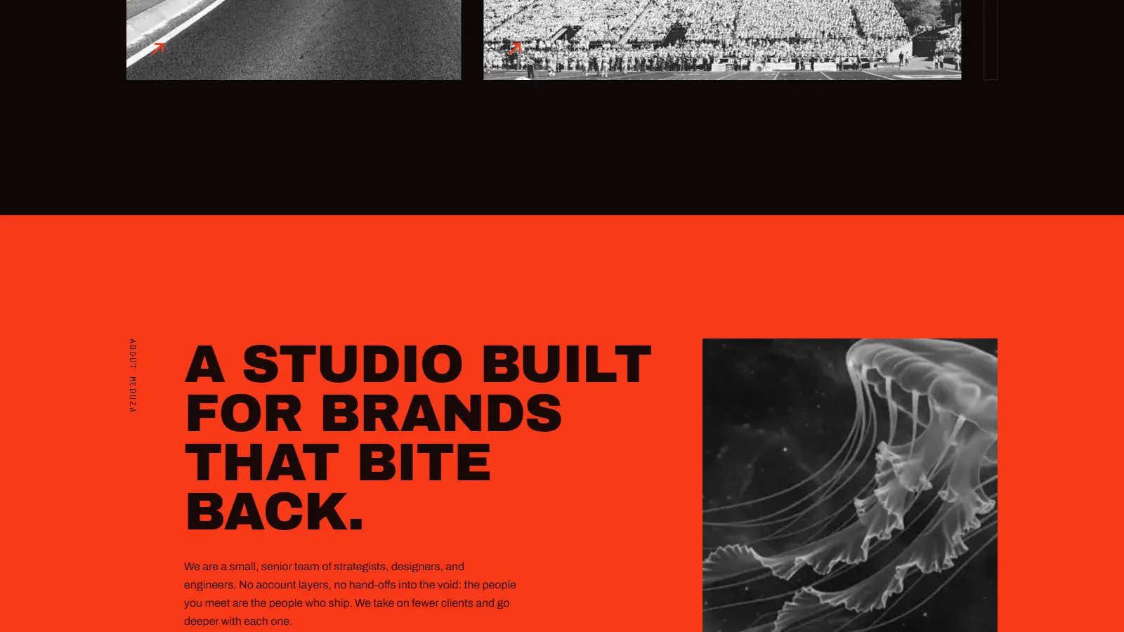 MEDUZA's studio section on a solid accent field, a studio built for brands that bite back