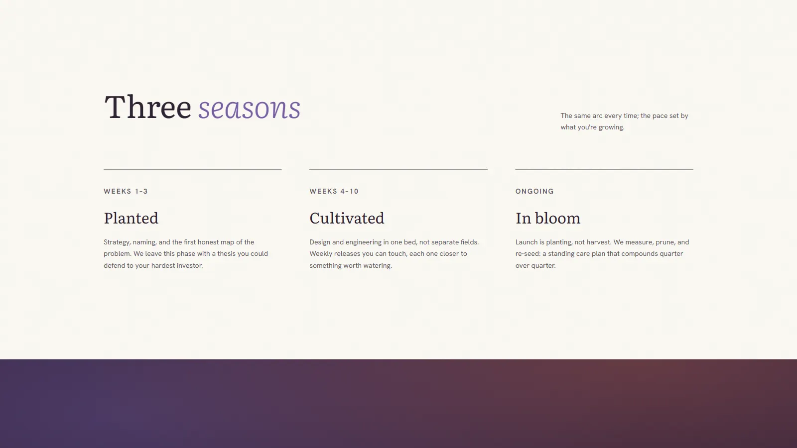 Vervain's three seasons section: planted, cultivated, in bloom